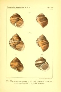 n354_w1150