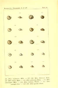 n510_w1150