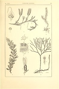 n370_w1150