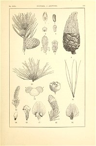 n354_w1150