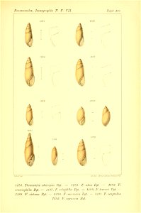 n472_w1150