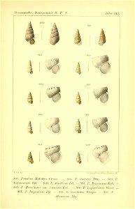 n382_w1150