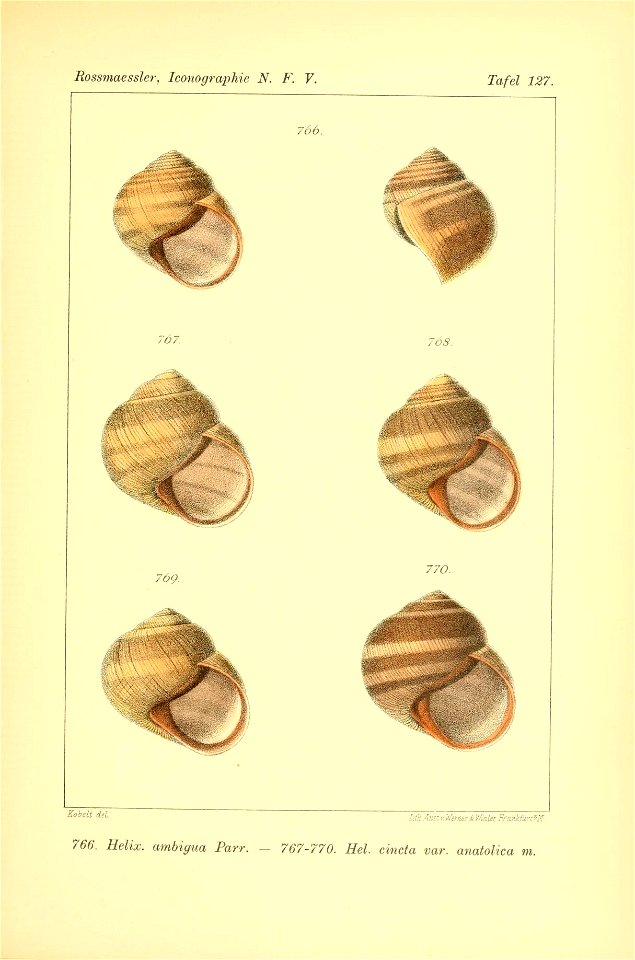 n352_w1150
