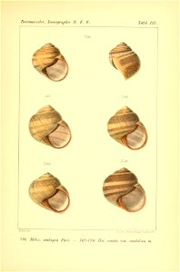 n352_w1150