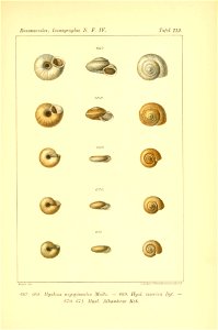 n538_w1150