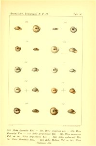 n508_w1150