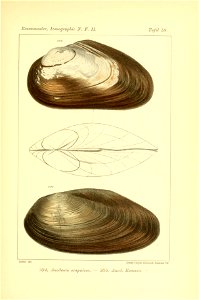n432_w1150