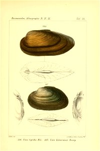 n378_w1150