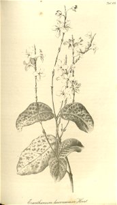 n366_w1150