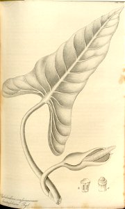 n177_w1150
