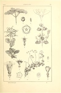 n196_w1150