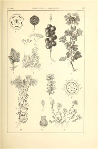 n160_w1150
