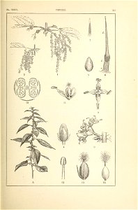 n282_w1150