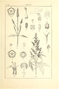 n222_w1150