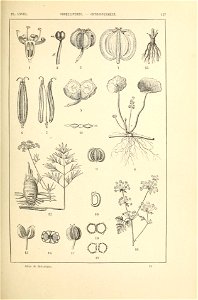 n172_w1150