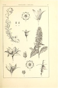 n192_w1150