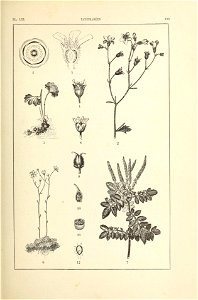 n158_w1150