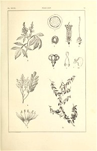 n114_w1150