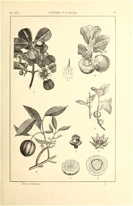 n84_w1150