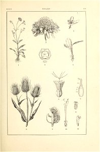 n190_w1150