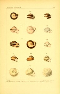 n684_w1150