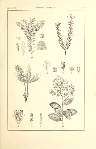 n112_w1150