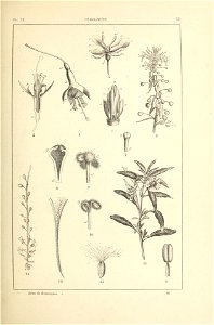 n156_w1150