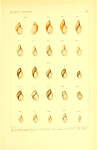 n698_w1150