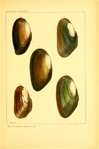 n622_w1150