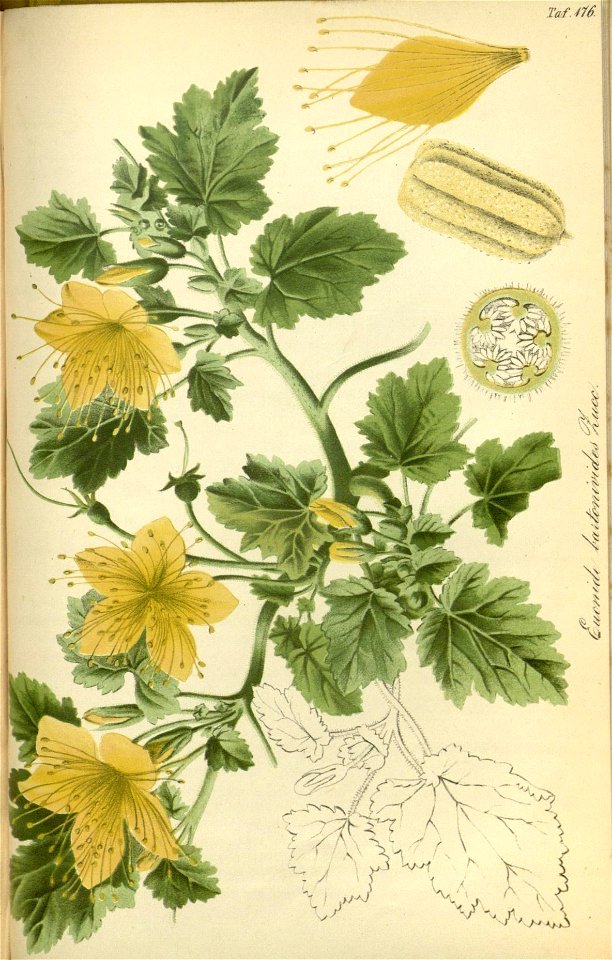 n395_w1150