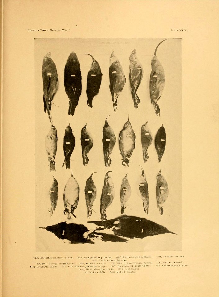 n112_w1150