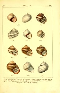 n574_w1150