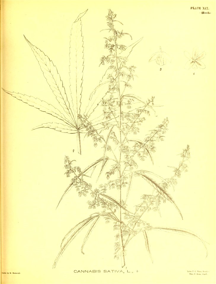 n162_w1150