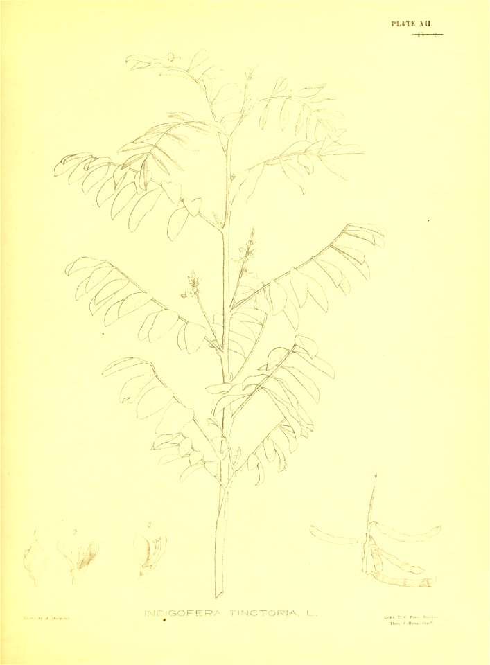 n114_w1150