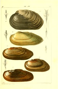 n512_w1150