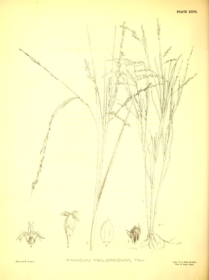 n197_w1150