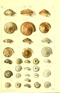 n508_w1150