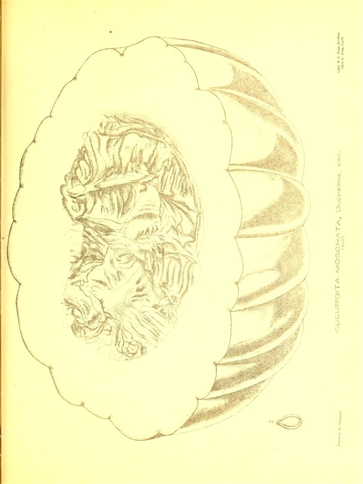 n352_w1150