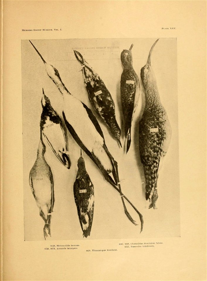 n104_w1150