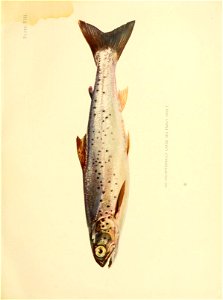 n162_w1150