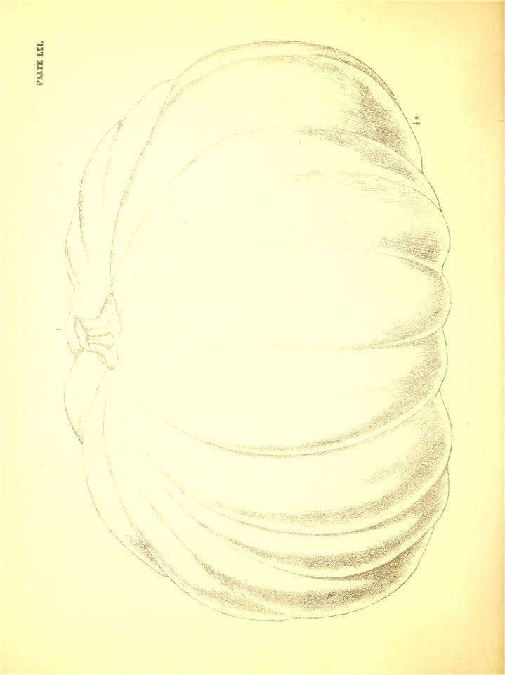 n351_w1150
