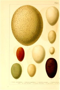 n623_w1150