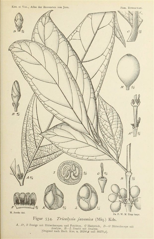 n298_w1150
