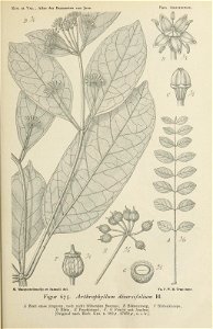 n216_w1150
