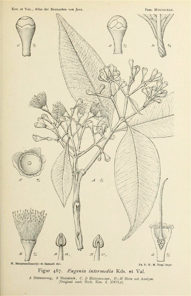 n198_w1150