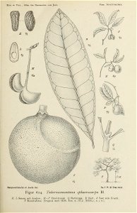 n108_w1150