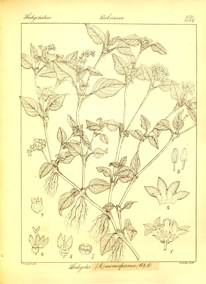 n359_w1150