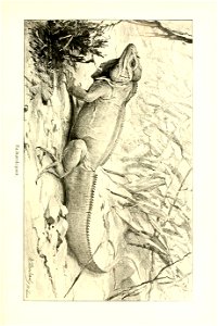 n142_w1150