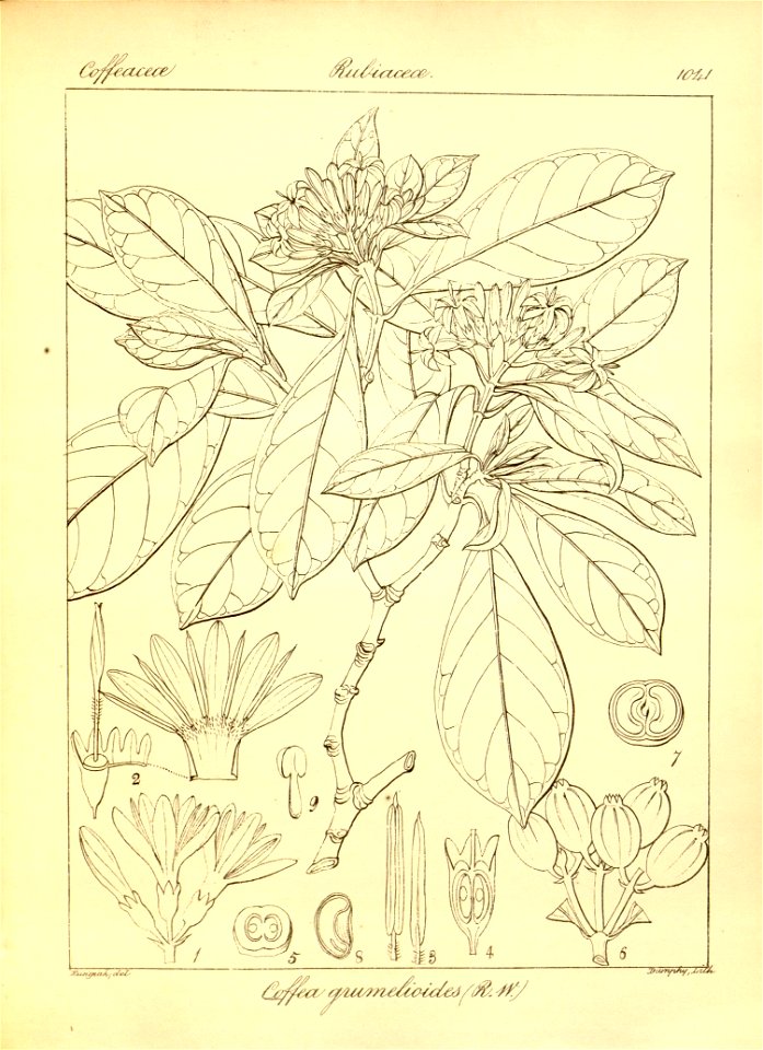 n369_w1150