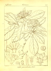 n369_w1150